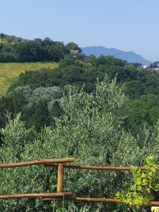 Appartamento Casa Nupa Torri in Sabina Esterno foto